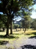 Waiorongomai Station entrance to the Park off Western Lake Road, Wairarapa