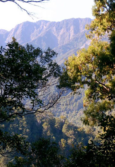 Magnificent view of the Rimutaka Range near the Orongorongo River valley