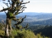 View of Wainuomata from the Whakanui Track