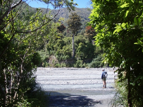 Tramper admiring the views from the Orongorongo river bed near Jacob's Ladder.