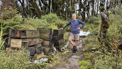 Trap replacement - Volunteer with stack of old traps