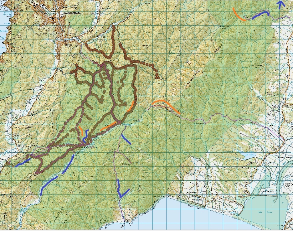 Map of bat survey area showing proposed acoustic recorder deployment lines in blue