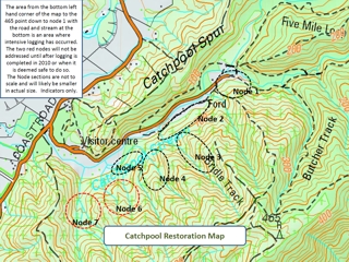 Nodes identified for planting native trees and shrubs to revegetate the logged hillsides in the Catchpool area