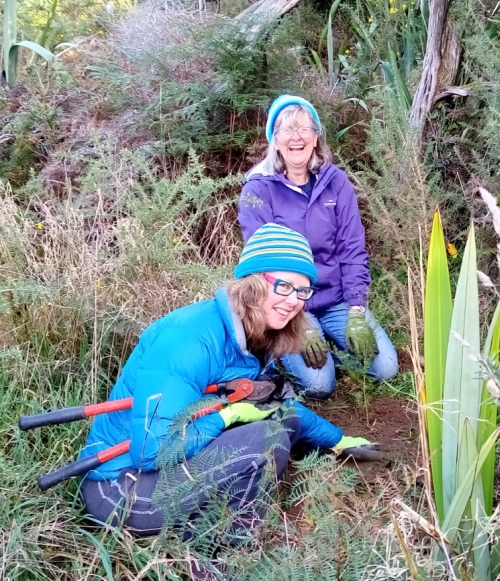 Members of the MFE team shown enjoying their planting experience on their Volunteer Day down at the Catchpool